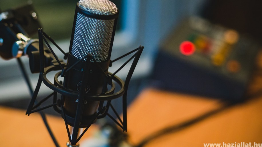 Hogyan alakítsd ki a rádióhallgatási szokásaidat?