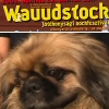 Wauudstock reloaded: a haziallat.hu rock-celeb kiadása