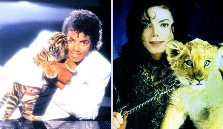 Michael Jackson állatbarát volt