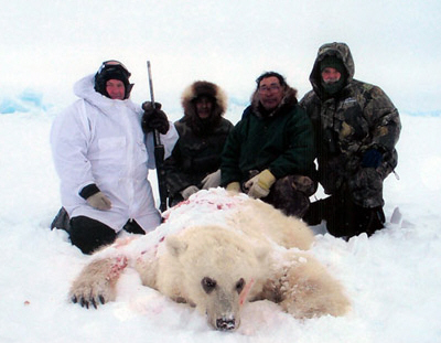 jegesmedve, erős, termetes, vadászat, északi sarkkör, táplálékszerzés, medvebocs, fehér medve