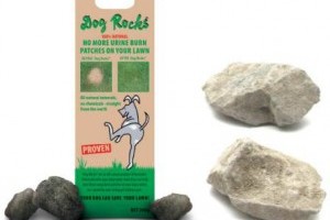 Dog Rocks kövekkel a kutyavizelet okozta kiégett gyepfoltok ellen!