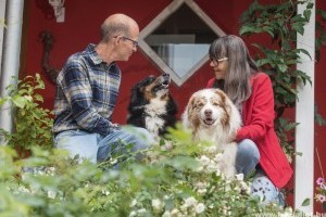 Egészséges 2019 kutyával: négy mancs a több relaxációért és mozgásért