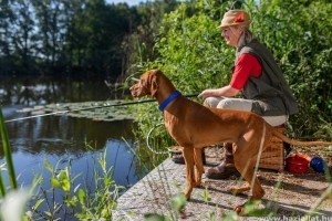 Vízben terjedő betegségek: így védd meg a kutyádat a fertőzésektől