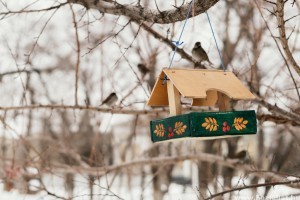 A téli madáretetés szabályai: mivel és mikor etessük a madarakat a fagyos hónapokban?