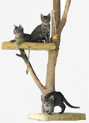 Egy macska mászóka, amelyik úgy néz ki, mint egy valódi fa