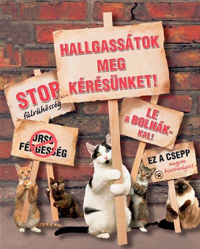KELL A MACSKÁNAK BOLHA ÉS BÉLFÉREG? (x)