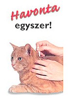 KELL A MACSKÁNAK BOLHA ÉS BÉLFÉREG? (x)