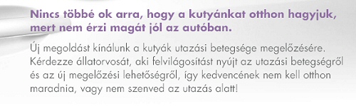 Utazási betegségben szenved kutyája?