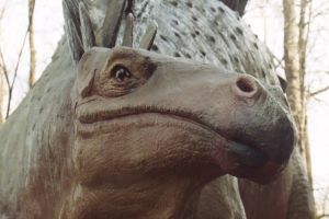 Kik azok a Dinoszauruszok? - Stegosaurus