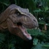 Kik azok a Dinoszauruszok?- Tyrannosaurus Rex