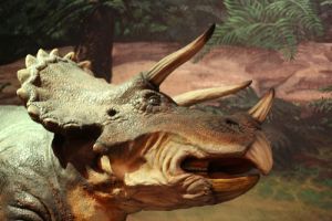 Kik azok a Dinoszauruszok? - Triceratops