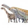 Százhatvanmillió éves dinoszaurusz-maradványokra találtak Délnyugat-Kínában