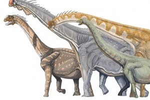 Százhatvanmillió éves dinoszaurusz-maradványokra találtak Délnyugat-Kínában