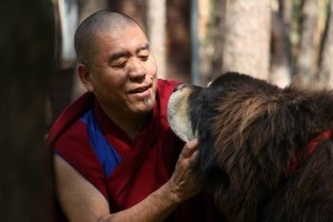 Buddhista jógik és kutyáik - márciusban közös séta