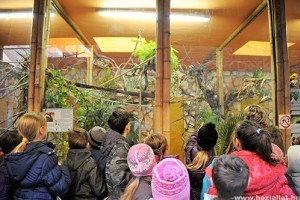 Év végéig kedvezményesen látogatható a Nyíregyházi Állatpark