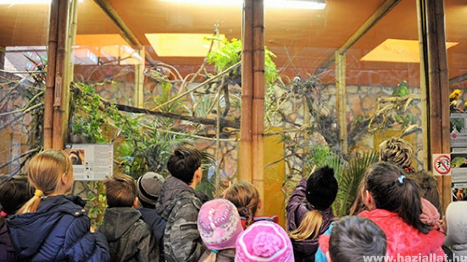 Év végéig kedvezményesen látogatható a Nyíregyházi Állatpark