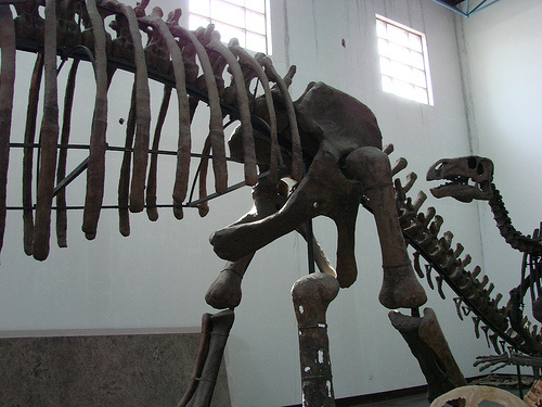 dinoszaurusz-csontvaz
