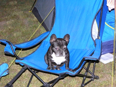 Bulldog Piknik