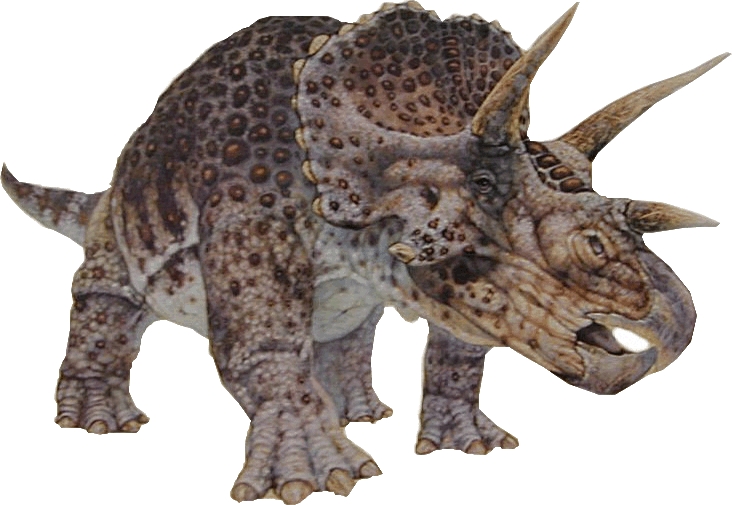Triceratops, hüllő, dinoszaurusz