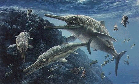 Ichthyosaurus, dinoszuaurusz