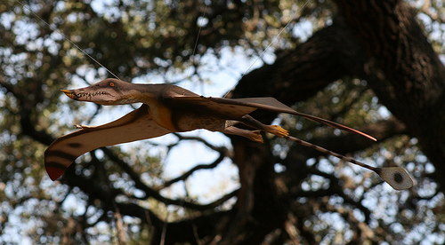 Rhamphorhynchus