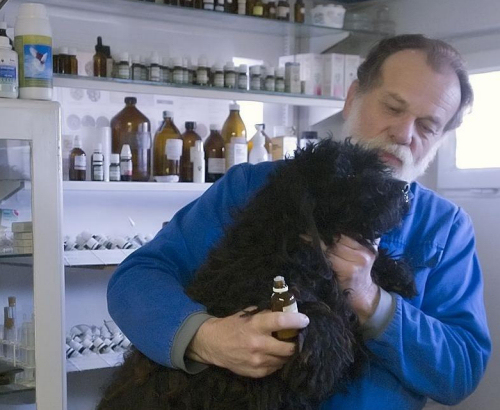 homeopata állatorvos, Dr. Mátray Árpád