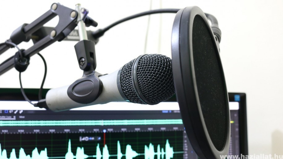 Miért érdemes a szakmádba vágó podcastot hallgatni? (x)