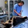 Betyárt, a kan kutyát ivartalanítják - videó