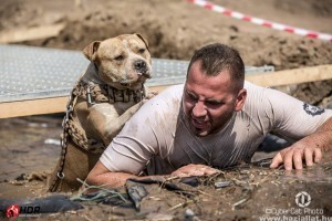 A Hard Dog Race Lengyelországban lép először nemzetközi porondra