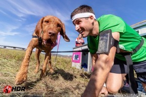 Hard Dog Race: sportolj, és szerezz életre szóló élményeket a kutyáddal!