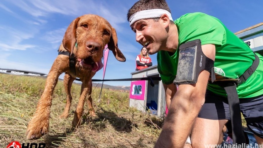 Hard Dog Race: sportolj, és szerezz életre szóló élményeket a kutyáddal!