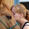 Antibiotikum-érzékenység a lovaknál