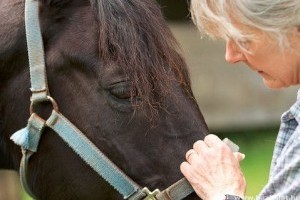 Hogyan használják a lézerkezelést a lovak gyógyításában?