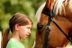 Hogyan barátkozz meg bármely lóval?