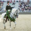 Átadták Közép-Európa legmodernebb lovasközpontját Szilvásváradon