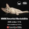 MMME Nemzetközi Macskakiállítás - 2009. október 17-18.