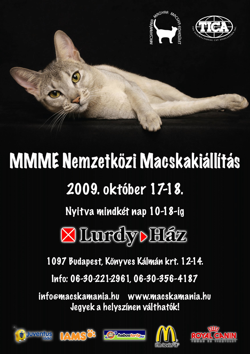 MMME Nemzetközi Macskakiállítás 2009. október 17-18