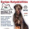 Európa Kutyakiállítás (2008. október 3-5.)