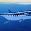 Ősi cápaszerű ragadozó halfajt fedeztek fel egy nevadai fosszíliában