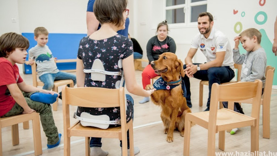 Fogyatékkal élő gyerekek kutyaterápiás foglalkozásán segített Szilágyi Áron