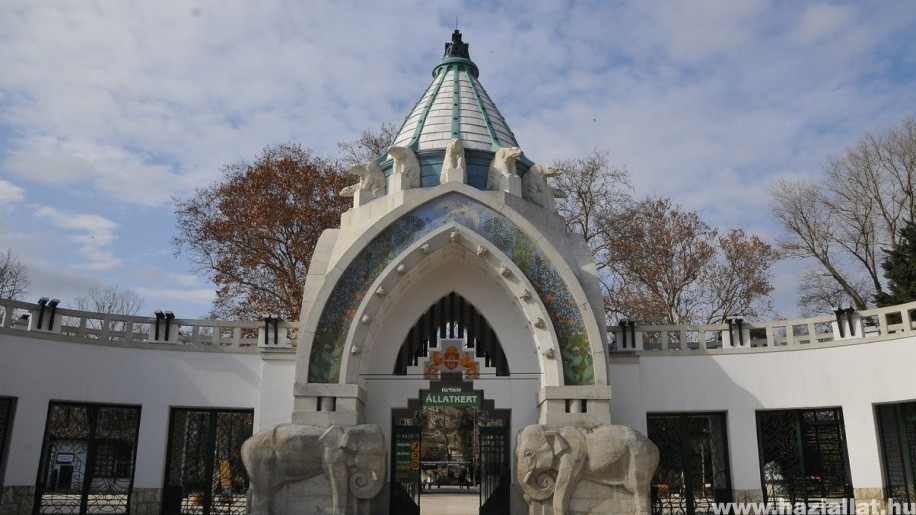 Szerdától újra látogatható a Budapesti Állatkert