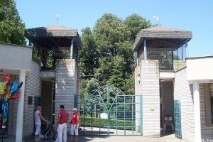 Új helyre költözik a belgrádi állatkert