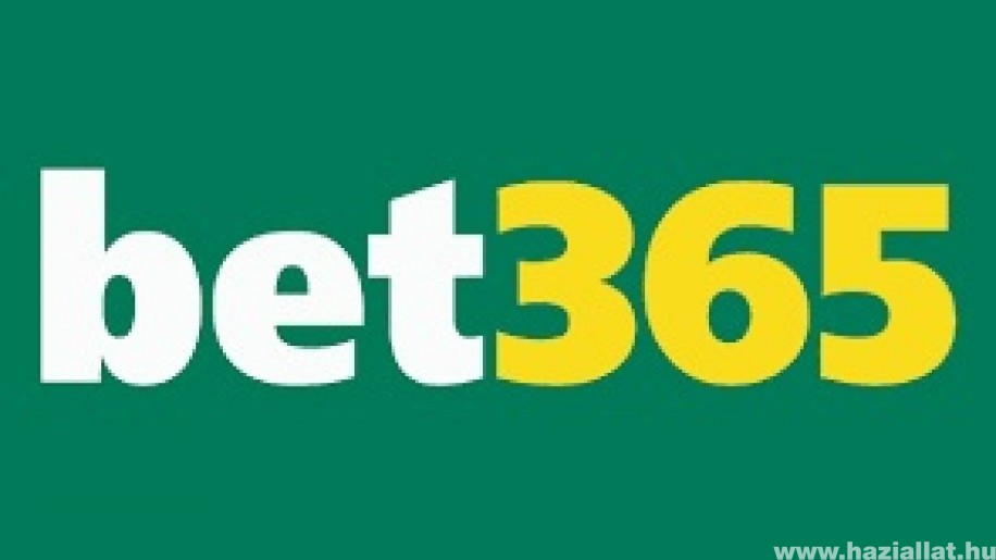 Bet365: A legjobb platform az online fogadáshoz – íme, miért