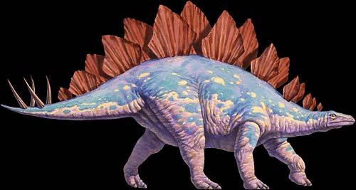 Stegosaurus