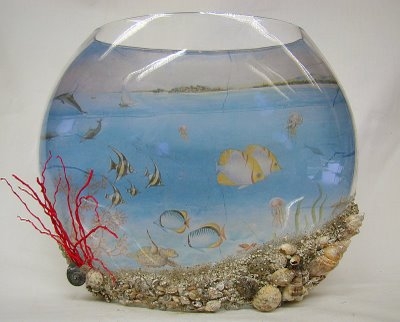 gömb akvárium