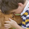 A kutya erősíti a gyerek immunrendszerét