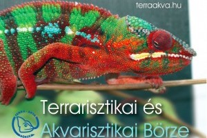 Magyarország legnagyobb terrarisztikai börzéje, a TerraAkva április 9-én újra Budapesten!
