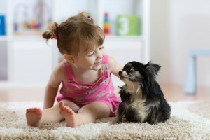 Vajon mi az ideális kor egy gyermeknél, hogy kutyát kapjon? (x)