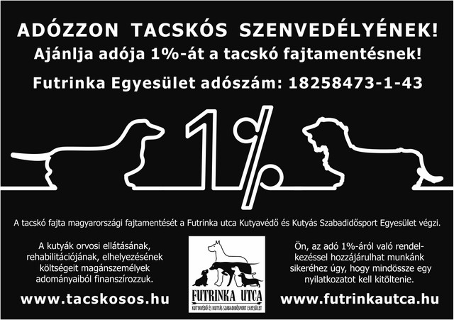 tacskos-szenvedelyek