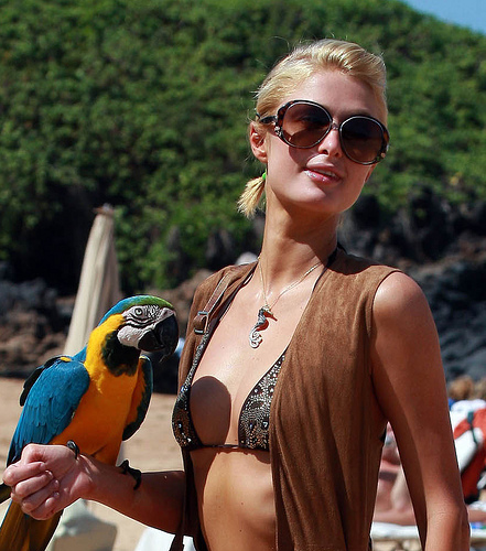 Paris Hilton és a papagáj